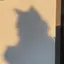 mのプロフィール画像