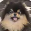 kaaanaのプロフィール画像