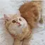 まりのプロフィール画像