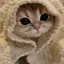 みのプロフィール画像