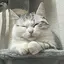 hrnのプロフィール画像