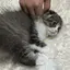 萌のプロフィール画像