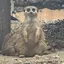 まるのプロフィール画像