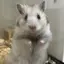 はるかのプロフィール画像