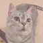 あやかのプロフィール画像