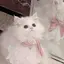 ゆぴのプロフィール画像