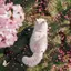 ぴ～のプロフィール画像