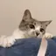 kumaのプロフィール画像