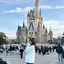 椛のプロフィール画像