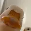えむのプロフィール画像