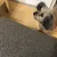 mahoのプロフィール画像