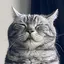 おっくんのプロフィール画像