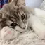 ゆっこのプロフィール画像