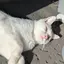 みこのプロフィール画像