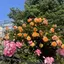 なつのプロフィール画像