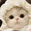 ぞうさんのプロフィール画像