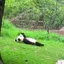 ミサトのプロフィール画像