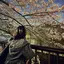ゆずのプロフィール画像
