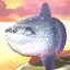 ゆきのプロフィール画像