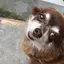ゆずのプロフィール画像