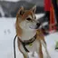 なっちゃんのプロフィール画像