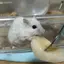 ゆうのプロフィール画像