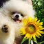 Moのプロフィール画像