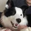 なつのプロフィール画像