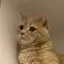 ゆかのプロフィール画像