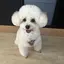 さなのプロフィール画像