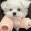 sakuraのプロフィール画像
