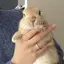 リヨンのプロフィール画像