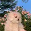 るのプロフィール画像
