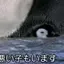 たかしちゃんのプロフィール画像