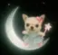 若葉のプロフィール画像
