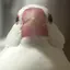 りーのプロフィール画像