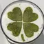 🍀のプロフィール画像