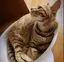 ひーちゃんのプロフィール画像