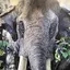 真衣のプロフィール画像