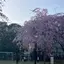 yukiのプロフィール画像