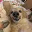 たなかのプロフィール画像
