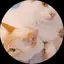 nekoのプロフィール画像