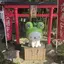 ★のプロフィール画像
