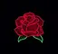 🌺🌈🌺🌈のプロフィール画像