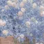 うかのプロフィール画像