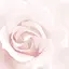 陽菜のプロフィール画像