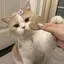 かなかなのプロフィール画像