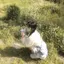 きーのプロフィール画像