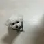 jjjのプロフィール画像