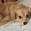 みさのプロフィール画像